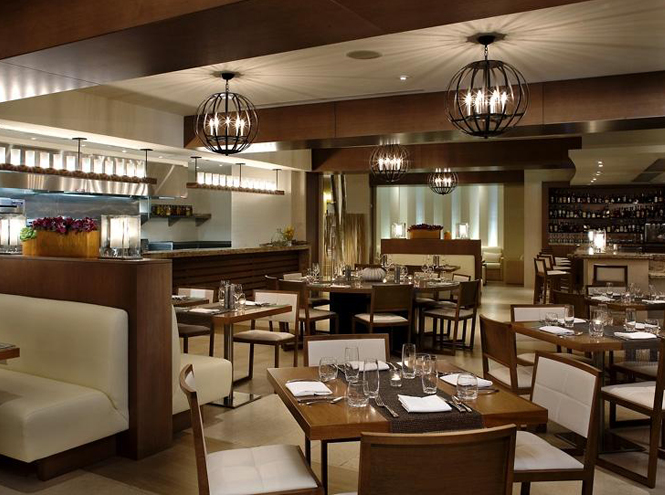 Dining room and exhibition kitchen at Area 31